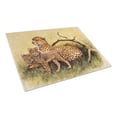 thumbnail image 1 of Carolines Treasures BDBA0113LCB Cheetahs by Daphne Baxter Glass Cutting Board Large, 12H x 16W, multicolor, 1 of 2