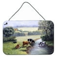 thumbnail image 1 of Carolines Treasures BDBA0350DS812 Cows Drinking at the Creek Bank Wall or Door Hanging Prints  8x12 multicolor, 1 of 1