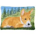 thumbnail image 1 of Carolines Treasures  Basenji Decorative Indoor & Outdoor Fabric Pillow, 1 of 1