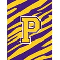 thumbnail image 1 of Carolines Treasures CJ1022-P-GF Monogram - Tiger Stripe - Purple Gold Initial P Monogram Initial Flag Garden Size, 1 of 2