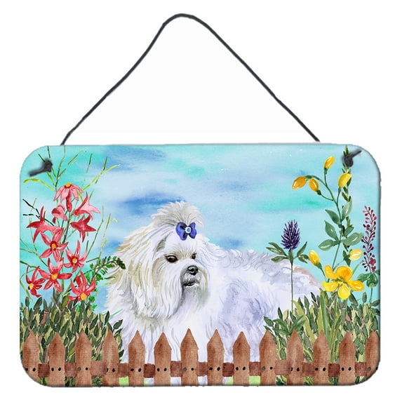 Carolines Treasures CK1213DS812 Maltese Spring Wall or Door Hanging Prints  8x12 multicolor
