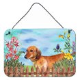 thumbnail image 1 of Carolines Treasures CK1214DS812 Dachshund Spring Wall or Door Hanging Prints  8x12 multicolor, 1 of 1