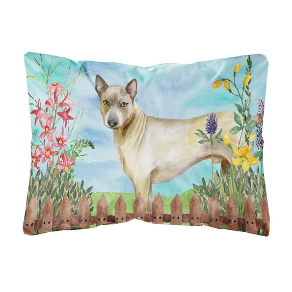 Carolines Treasures CK1242PW1216 Thai Ridgeback Spring Canvas Fabric Decorative Pillow 12H x16W multicolor