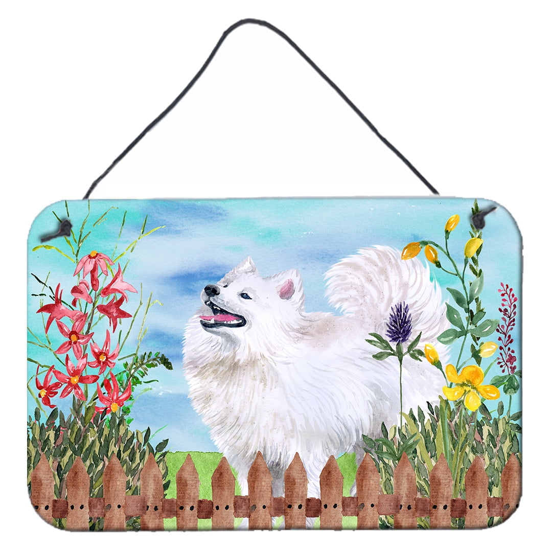 Carolines Treasures CK8824WTKT 28 X 19 In. Unisex Samoyed Sitting Christmas Wreath White Dish Towels Kitchen Towel Set Of 2