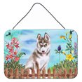 thumbnail image 1 of Carolines Treasures CK1258DS812 Siberian Husky Grey Spring Wall or Door Hanging Prints  8x12 multicolor, 1 of 1
