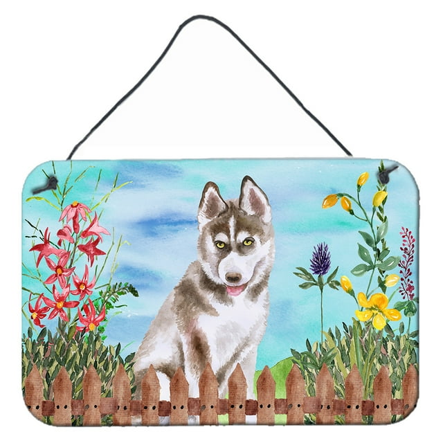 Carolines Treasures CK1258DS812 Siberian Husky Grey Spring Wall or Door Hanging Prints  8x12 multicolor