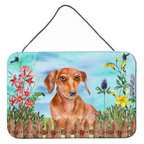 Carolines Treasures CK1269DS812 Red Dachshund Spring Wall or Door Hanging Prints  8x12 multicolor