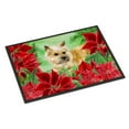 thumbnail image 1 of Carolines Treasures CK1338JMAT Cairn Terrier Poinsettas Door Mat Indoor Rug or Outdoor Welcome Mat 24x36 Doormat  36"L x, 1 of 4