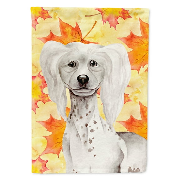 Carolines Treasures CK1408GF Chinese Crested Fall Flag Garden Size Small multicolor