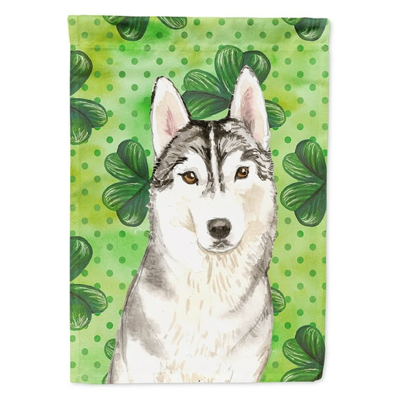 Carolines Treasures CK1787CHF Shamrocks Siberian Husky Flag Canvas House Size  Large multicolor