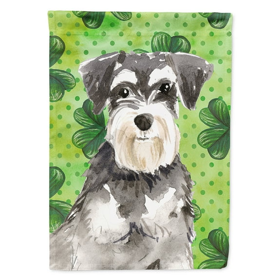 Carolines Treasures CK1796CHF Shamrocks Schnauzer 2 Flag Canvas House Size Large multicolor