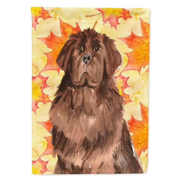 Carolines Treasures CK1832GF Fall Leaves Newfoundland Flag Garden Size Small multicolor