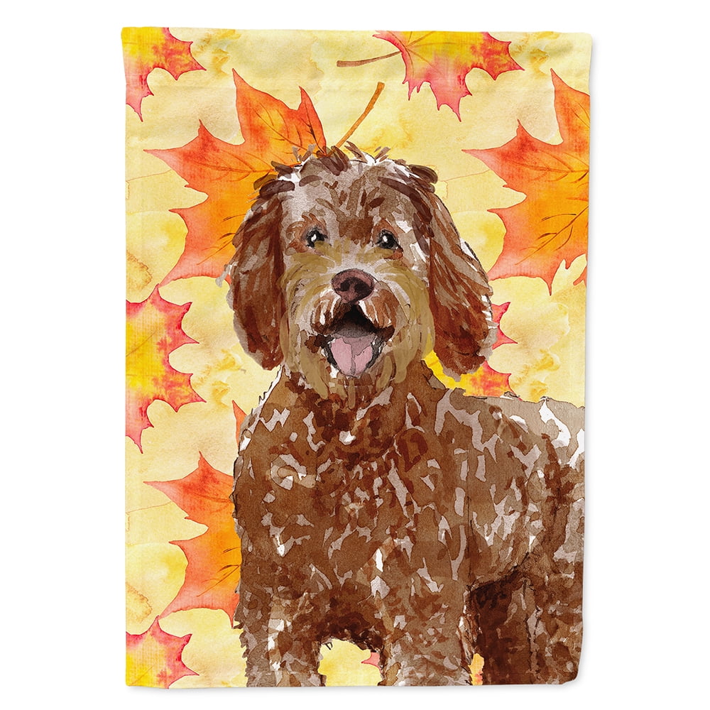 Carolines Treasures CK1837CHF Fall Leaves Labradoodle Flag Canvas House Size Large multicolor