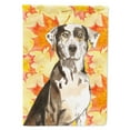 thumbnail image 1 of Carolines Treasures CK1845GF Fall Leaves Catahoula Leopard Dog Flag Garden Size  Small multicolor, 1 of 3