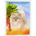 thumbnail image 1 of Carolines Treasures CK1935CHF Fall Pomeranian Flag Canvas House Size  Large multicolor, 1 of 4
