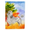 thumbnail image 1 of Carolines Treasures CK1940GF Fall Silver Poodle Flag Garden Size  Small multicolor, 1 of 2