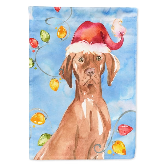 Carolines Treasures CK2480GF Christmas Lights Vizsla Flag Garden Size Small multicolor