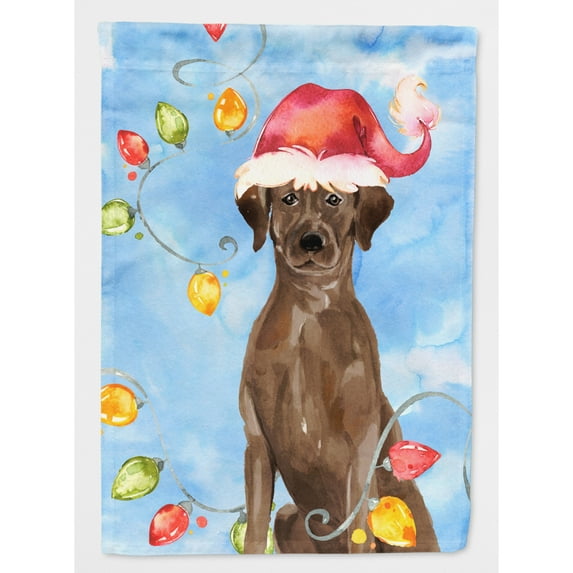 Carolines Treasures CK2506CHF Christmas Lights Chocolate Labrador Retriever Flag Canvas House Size  Large multicolor