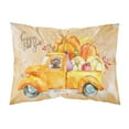 thumbnail image 1 of Carolines Treasures CK2658PILLOWCASE Fall Harvest Brown Cockapoo Fabric Standard Pillowcase Standard multicolor, 1 of 2
