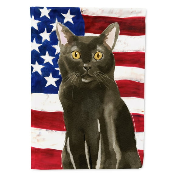 Carolines Treasures CK3032CHF Bombay American Flag Flag Canvas House Size Large multicolor