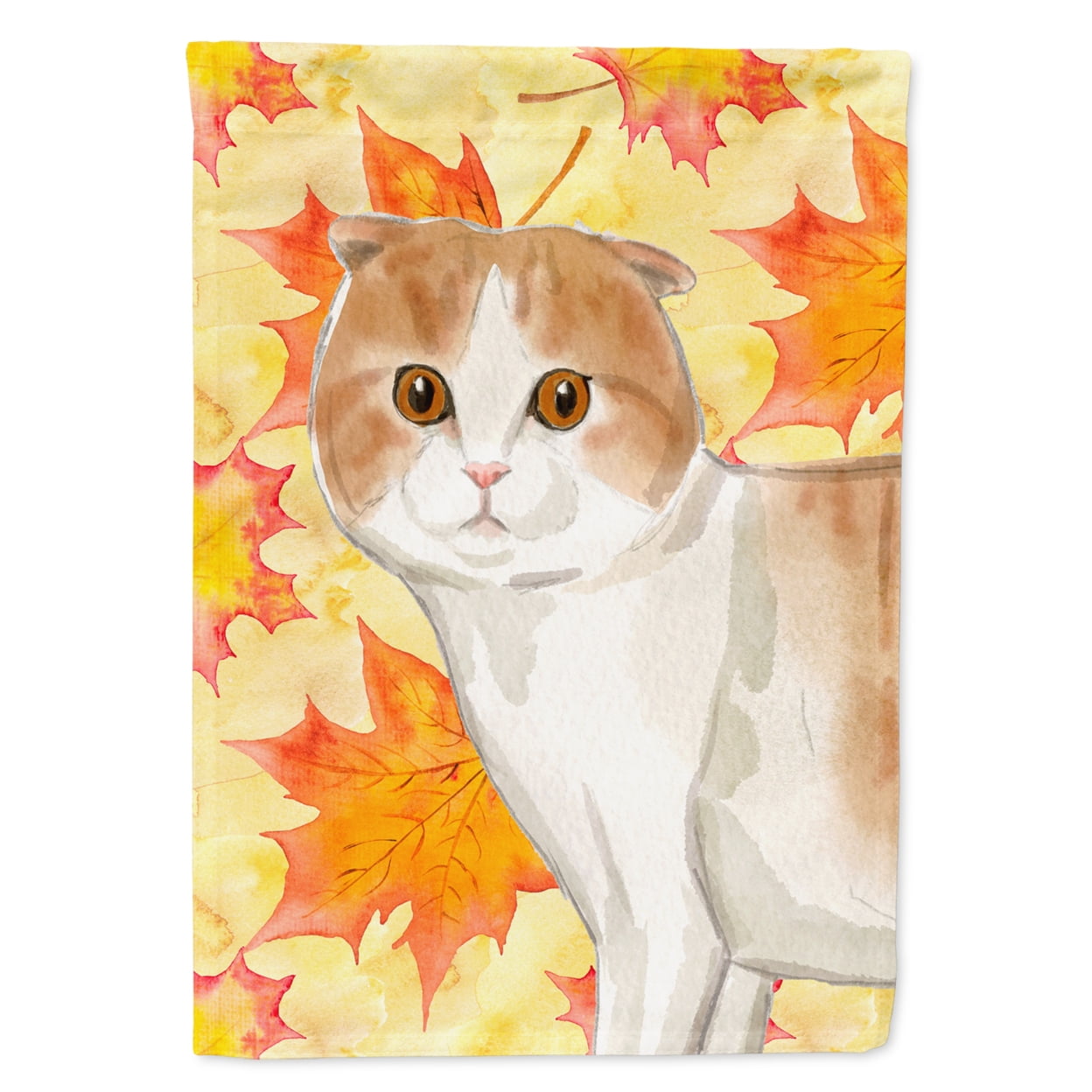 Carolines Treasures CK3083CHF Scottish Fold Fall Leaves Flag Canvas House Size Large multicolor