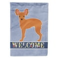 thumbnail image 1 of Carolines Treasures CK3676GF Russkiy Toy or Russian Toy Terrier Welcome Flag Garden Size  Small multicolor, 1 of 3