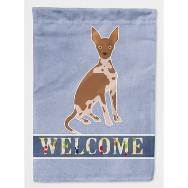 Carolines Treasures CK3683CHF Tan Abyssinian or African Hairless Dog Welcome Flag Canvas House Size  Large multicolor