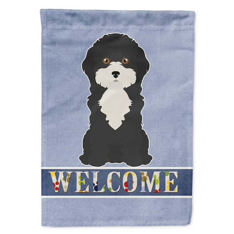 Cyprus poodle outlet