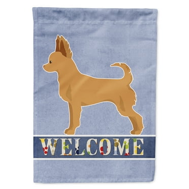 Carolines Treasures CK3720GF Tan Chion Welcome Flag Garden Size  Small multicolor