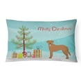 thumbnail image 1 of Carolines Treasures CK3836PW1216 Goldador Christmas Tree Canvas Fabric Decorative Pillow, 12H x16W, multicolor, 1 of 4