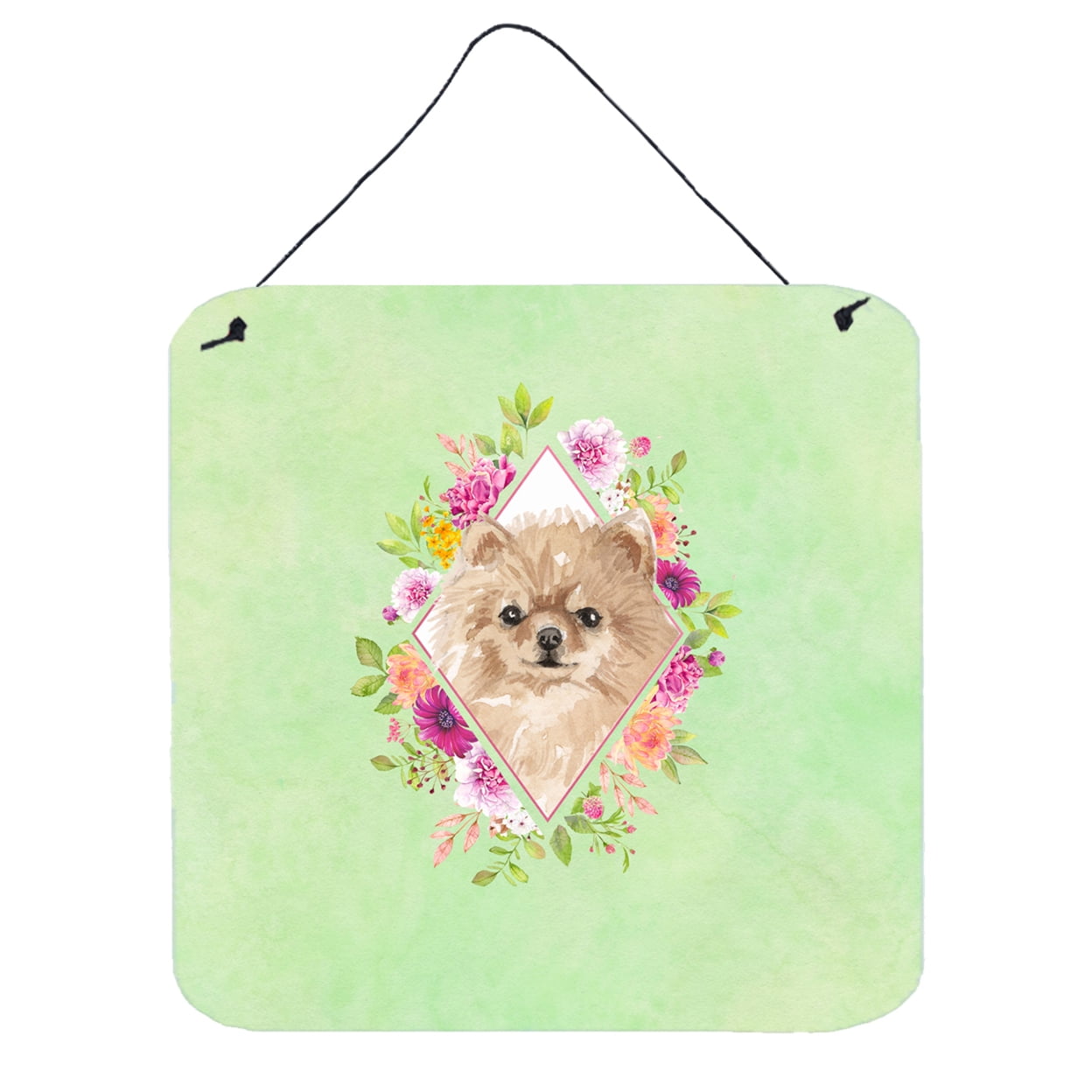 Carolines Treasures CK4379DS66 Pomeranian Green Flowers Wall or