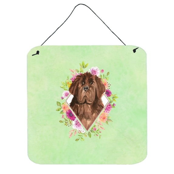 Carolines Treasures CK4381DS66 Newfoundland Green Flowers Wall or Door Hanging Prints 6x6 multicolor