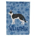thumbnail image 1 of Carolines Treasures CK4815CHF Bicolour Aegean Cat Welcome Flag Canvas House Size Large multicolor, 1 of 4