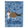 thumbnail image 1 of Carolines Treasures CK4958GF Ragdoll 1 Cat Welcome Flag Garden Size Small multicolor, 1 of 3