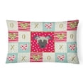 thumbnail image 1 of Carolines Treasures CK5182PW1216 Argentine Pila Dog Love Canvas Fabric Decorative Pillow, Red, 12H x16W, multicolor, 1 of 3