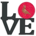 thumbnail image 1 of Caroline's Treasures CK5380WALV African Owl Pigeon Love Metal Wall Artwork LOVE, Red, 12X12, multicolor, 1 of 2