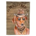 thumbnail image 1 of Carolines Treasures CK6311CHF Dachshund Country Dog Flag Canvas House Size  Large multicolor, 1 of 4
