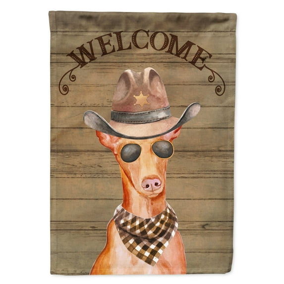 Carolines Treasures CK6347CHF Pharaoh Dog Country Dog Flag Canvas House Size  Large multicolor