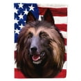 thumbnail image 1 of Carolines Treasures CK6429CHF Belgian Tervuren American Canvas House Size Outdoor-Flags, Multicolor, 1 of 4