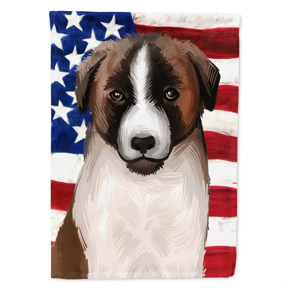 Carolines Treasures CK6477GF Cao de Gado Transmontano American Garden Size outdoor-flags, Multicolor