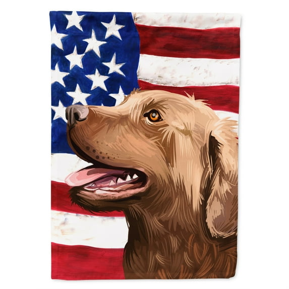 Carolines Treasures CK6486GF Chesapeake Bay Retriever American Garden Size Outdoor-Flags, Multicolor