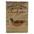 thumbnail image 1 of Caroline's Treasures CK6810GF Khaki Campbell Duck Welcome Flag Garden Size , Small, multicolor, 1 of 3