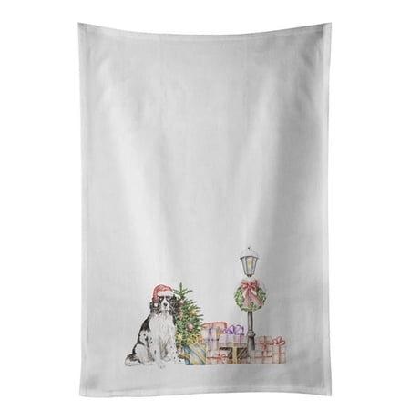 Carolines Treasures CK8181WTKT 28 x 19 in. Unisex English Springer Spaniel Black & White White Dish Towels Kitchen Towel - Set of 2