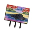 thumbnail image 1 of Carolines Treasures SS8043TH68 Curly Coated Retriever Leash Holder or Key Hook, Large, Multicolor, 1 of 4