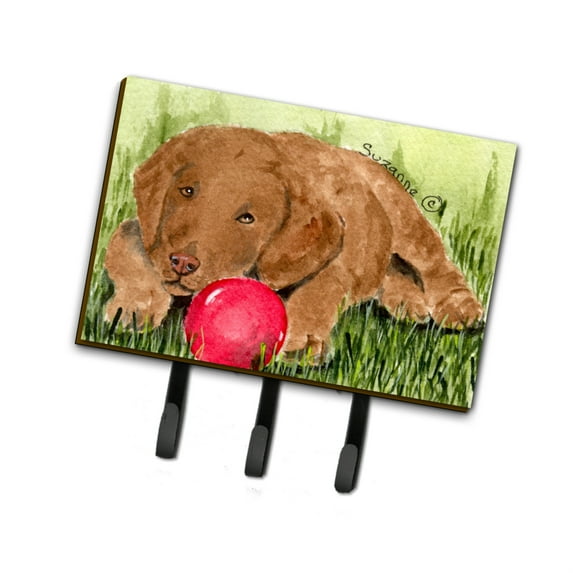 Carolines Treasures SS8684TH68 Curly Coated Retriever Leash Holder or Key Hook, Large, Multicolor