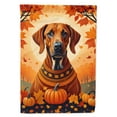 thumbnail image 1 of Carolines Treasures DAC1066GF 15.5 x 11.25 in. Rhodesian Ridgeback Fall Garden Flag, 1 of 5