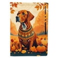 thumbnail image 1 of Carolines Treasures DAC1077CHF 40 x 28 in. Vizsla Fall House Flag, 1 of 5