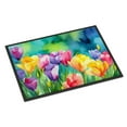 thumbnail image 1 of Carolines Treasures DAC1558JMAT 24 x 36 in. Unisex Orchids in Watercolor Indoor or Outdoor Mat, 1 of 87