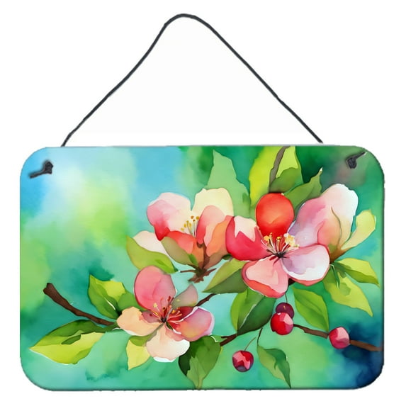 Carolines Treasures DAC1627DS812 12 x 8 in. Unisex Arkansas Apple Blossom in Watercolor Wall or Door Hanging Prints