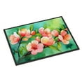 thumbnail image 1 of Carolines Treasures DAC1635JMAT 24 x 36 in. Unisex Delaware Peach Blossom in Watercolor Indoor or Outdoor Mat, 1 of 5